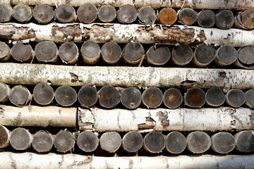 wall from birch logs