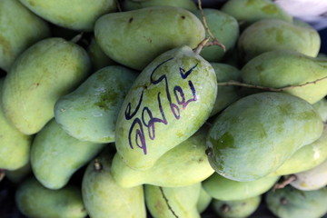 ASIA THAILAND BANGKOK BANGLAPHU PAK KHLONG MARKET