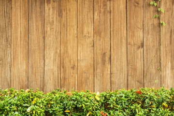 Fototapeta na wymiar green grass and leaf plant over wood fence background