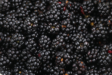 Beautiful ripe blackberry background, close up