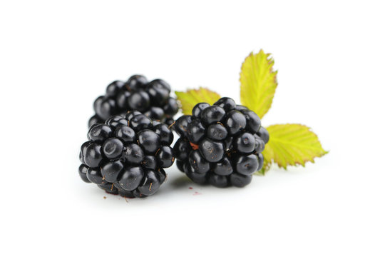 Blackberries isolated on a white