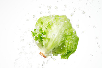 レタス　シズル感