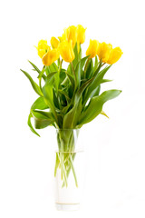 bouquet of tulips on a white background