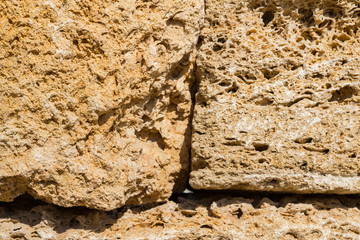 Natural material shell