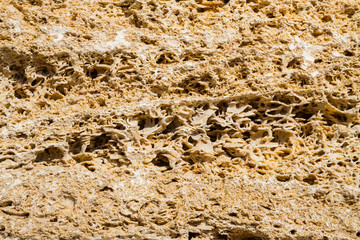 Natural material shell
