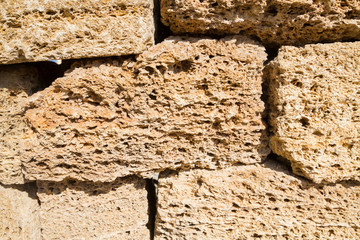 Natural material shell