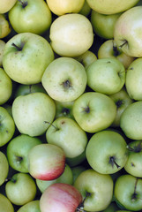 Green apples texture
