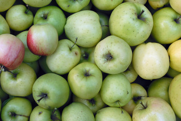 Green apple texture