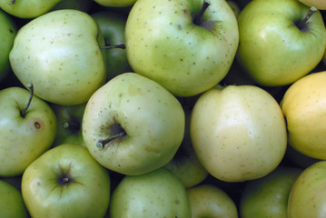 Green apples, close-up