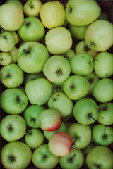 Texture of green apples