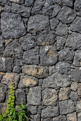 The volcanic Stone wall