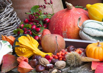 Herbst © zlatna