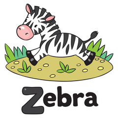 Little Zebra for ABC. Alphabet Z