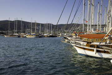 Bodrum yat limanındaki yat ve yelkenliler