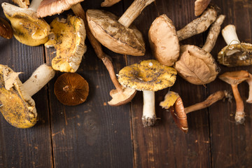 Selbergesammelte Pilze