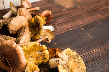 Selbergesammelte Pilze