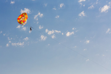 People parasailing over the sea
