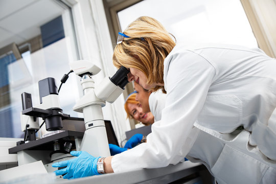 Photo of real female scientists looking into a microscope