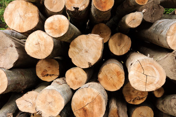 Background stack of wood