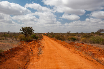 Landscape of Tsavo East, Kenya
