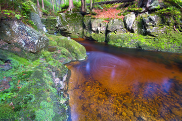 Górski strumień © Patryk Michalski
