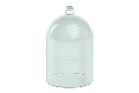 Glass Bell or Bell Jar