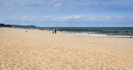 Fototapeta na wymiar Couple with a dog walks along a beach on Baltic sea