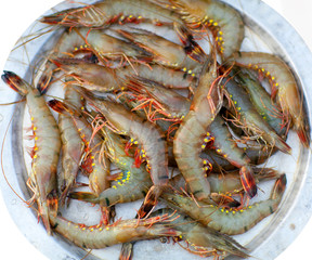 Fresh shrimp at the market