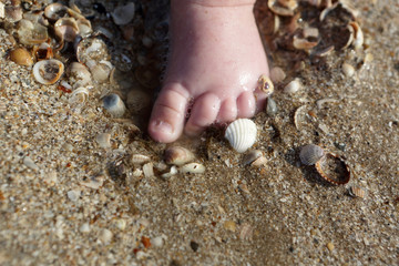 Newborn foot in the sand