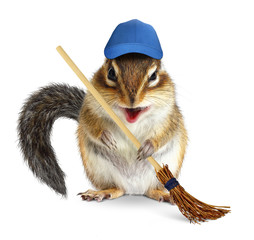 Funny chipmunk with broom, cleaning concept