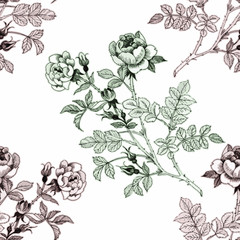 Seamless pattern with Beautiful flowers, Watercolor painting