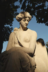 The goddess of love Aphrodite (Venus)