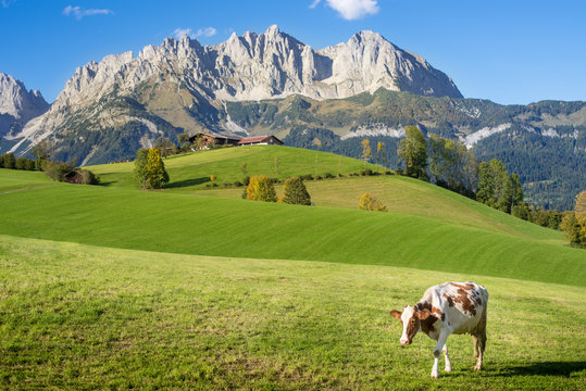 Herbst in den Alpen