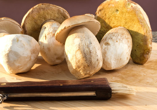 Cep mushrooms and knife