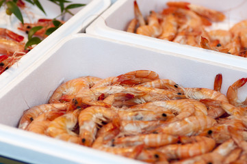 shrimp market