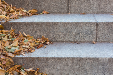 Autumn leaves on stone stairs