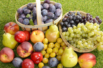different seasonal fruits, plums, pears, grapes