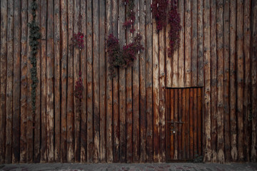 Close up of  wooden fence  and door