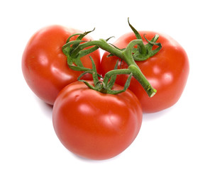 tomatoes isolated on white background