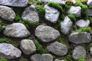 Rocky walls