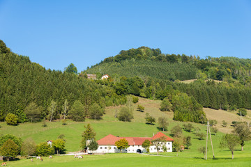 Fototapeta na wymiar Landscape with Farmhouse in the Enns valley in Austria. The valley is one of the most beautiful landscapes in Upper Austria and Styria. The Farm is situated in the small village Grossraming