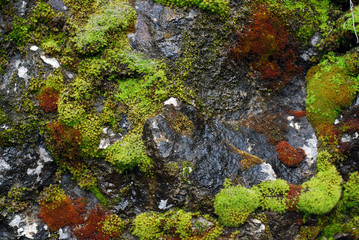 Rocky walls