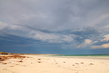 Nullarbor coastal landscape