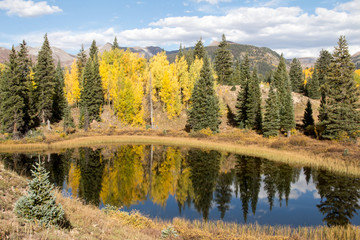 Colorful autumn trees reflecting in a Colorado pond