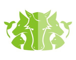 green animal care united