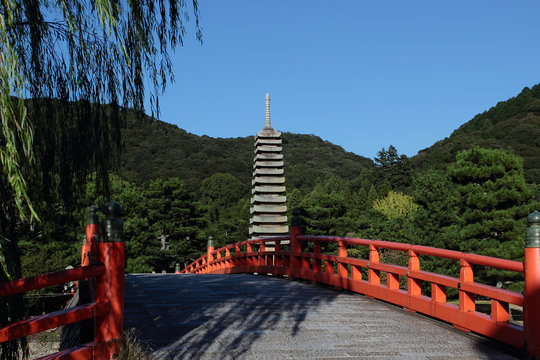 Asticothérapie Images Parcourir 2,566 le catalogue de photos