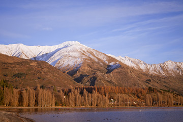 Lake Wanaka, South Island Landscape, New Zealand