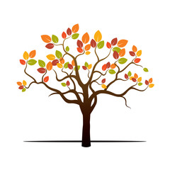 Autumn Tree and Color Leafs. Vector Illustration.