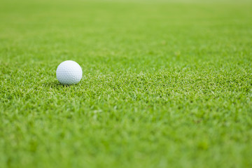 Golf ball on green