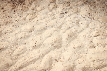 Sand texture for background